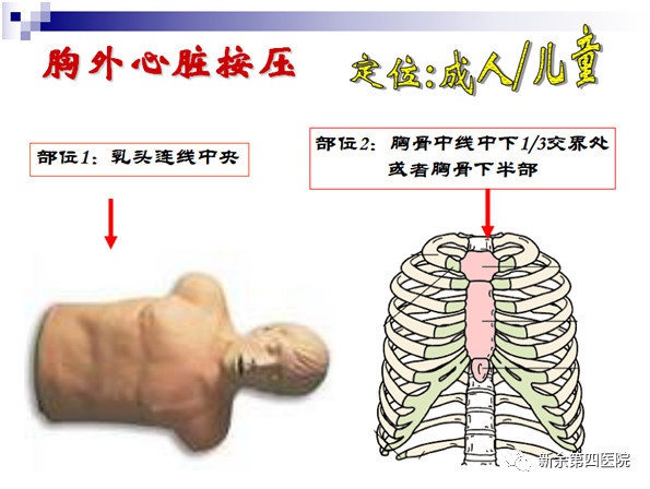 图片100.jpg